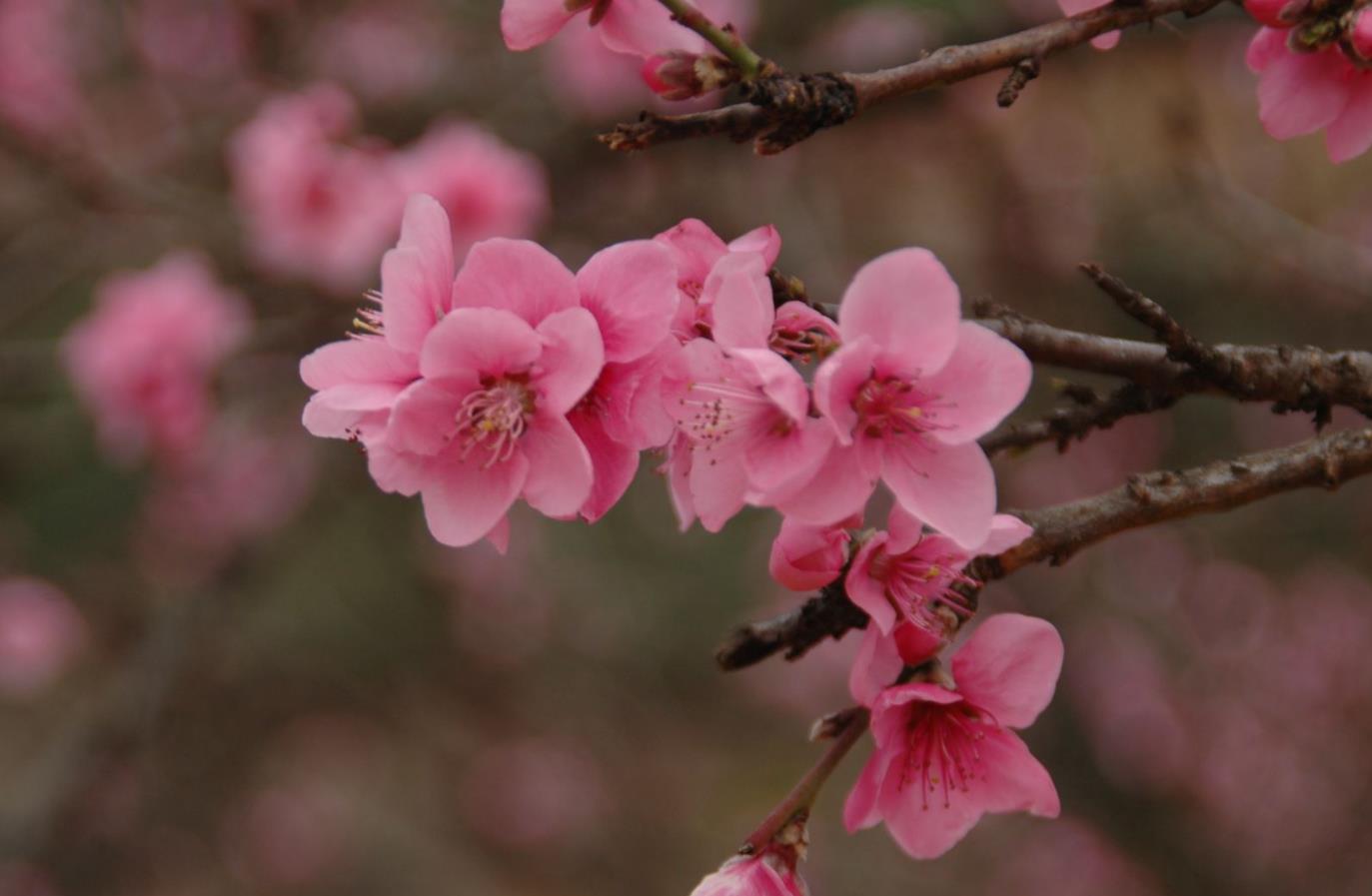 品品大儒,治好你的精神内耗01——大学节选