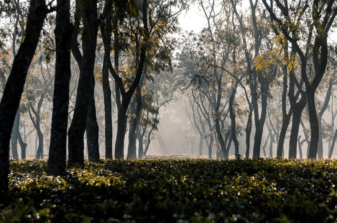 金刚经》第17课