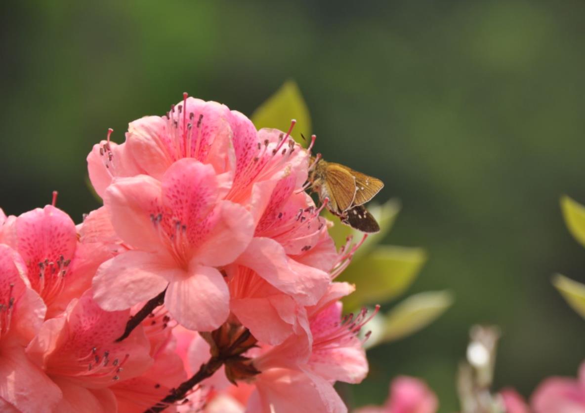 为什么人们更愿意相信科学是正确的?