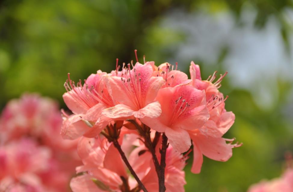 品品佛教,治好你的不由自主